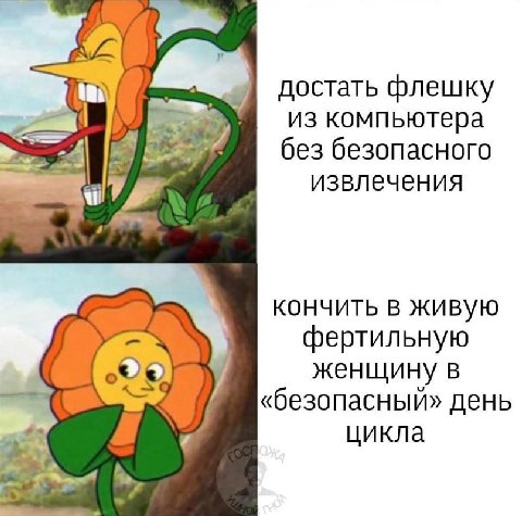 достать флешку из компьютера без безопасного извлечения кончить в живую фертильную женщину в «безопасный» день цикла