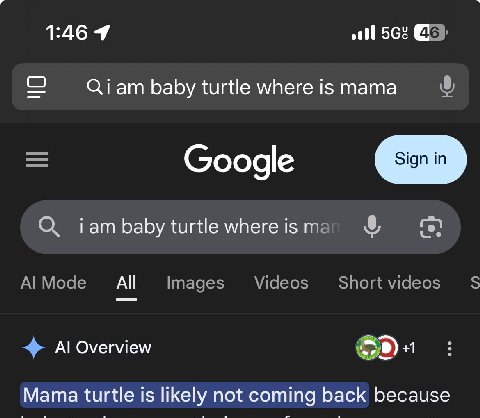 1:46 4 11 56: о Qiam baby turtle where is тата Google Гат baby turtle where is All Overview +1 Mama turtle is likely not coming back because