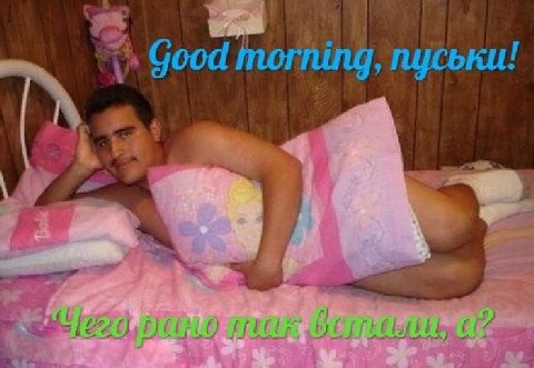 у Good morning, пуськи! 7 4