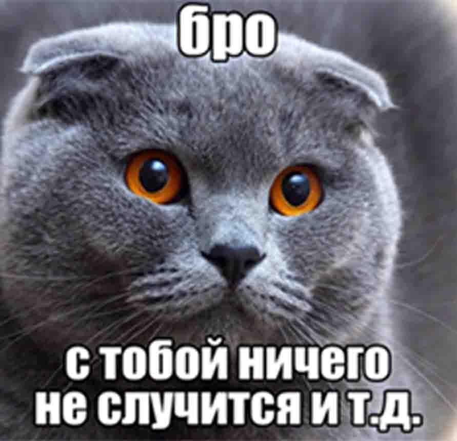 с тобой ничего не случится ит.д.