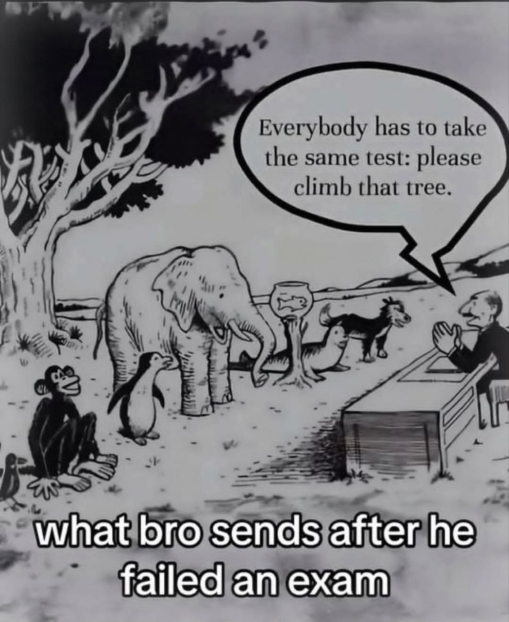 what bro sends after he failed an exam