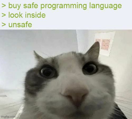buy safe programming language look inside unsafe