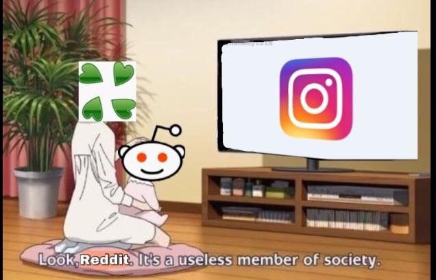 и member