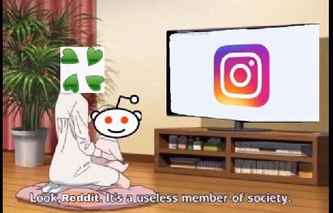 и member