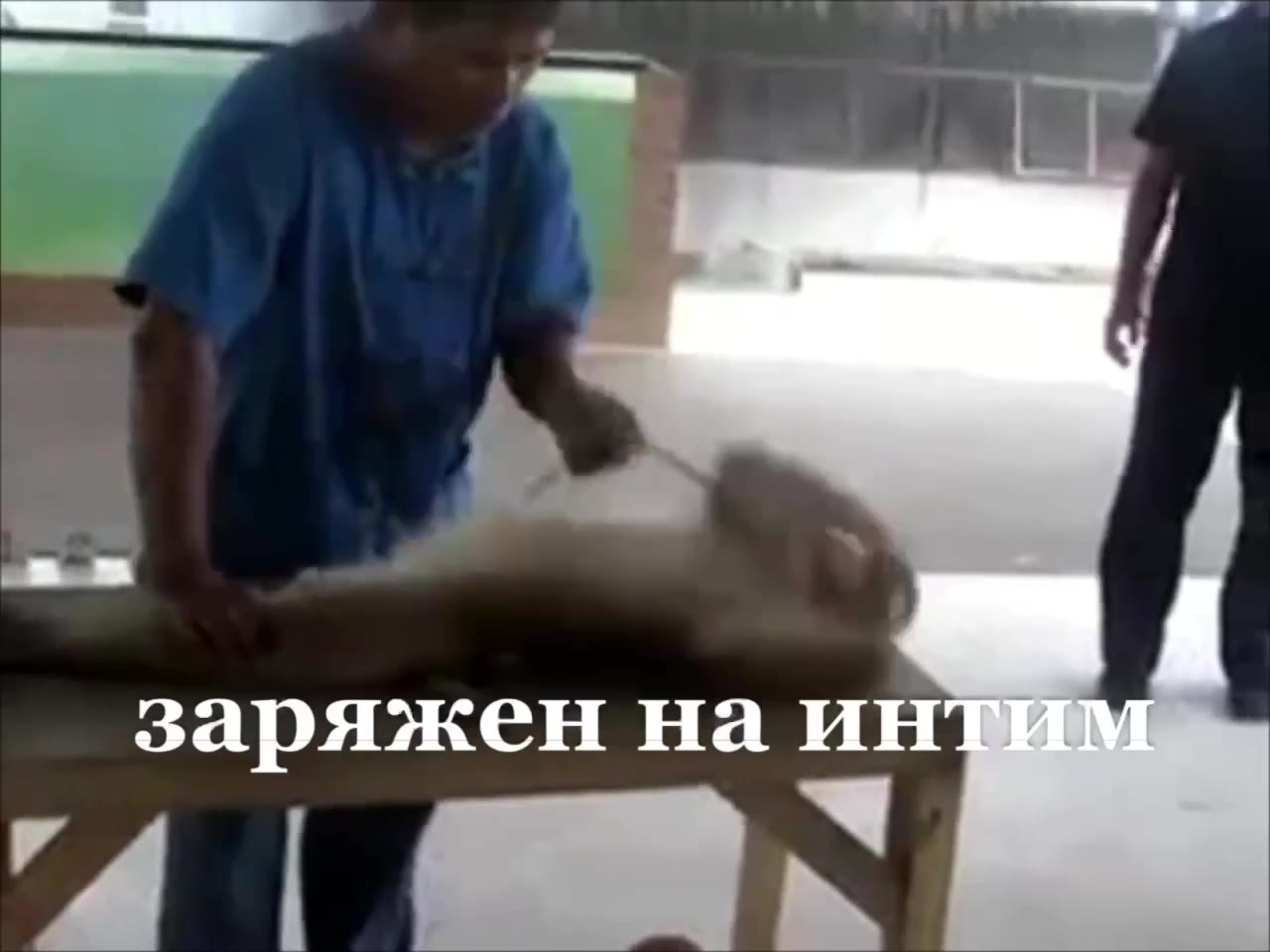 заряжен на ет: заряжен наи аряжен Ha инти