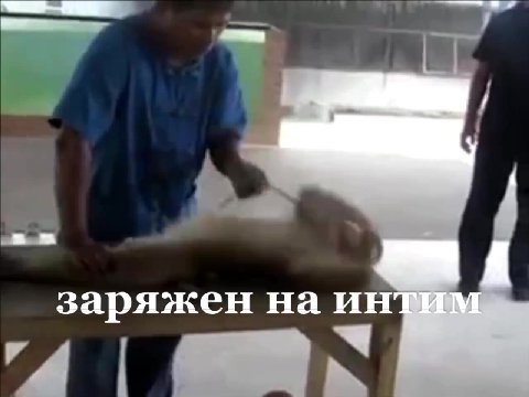 заряжен на ет: заряжен наи аряжен Ha инти