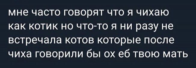 мне часто говорят что я чихаю как котик но что-то я ни разу не встречала котов которые после чиха говорили бы твою мать