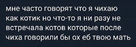 мне часто говорят что я чихаю как котик но что-то я ни разу не встречала котов которые после чиха говорили бы твою мать