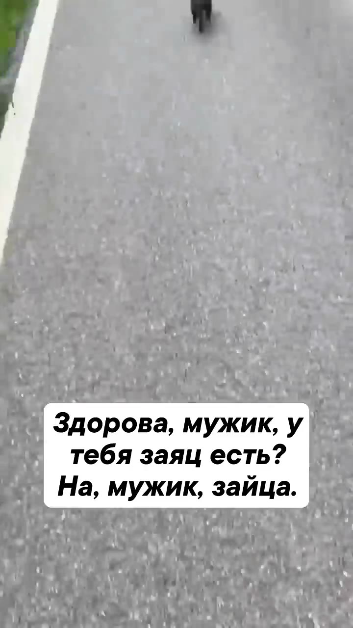 чении р АХ —— тебя заяц есть? | : PSST. COANE Slate CT eal” ape MSs и орова, сть? Е | Здорова, мужик, у — На, мужик, зайца.