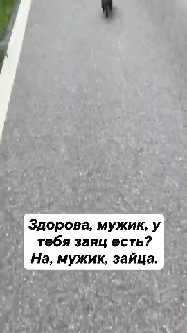 чении р АХ —— тебя заяц есть? | : PSST. COANE Slate CT eal” ape MSs и орова, сть? Е | Здорова, мужик, у — На, мужик, зайца.