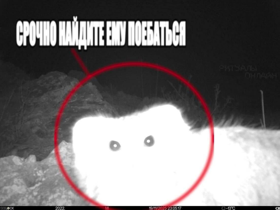 3 FLOCK 2022. 49/11/2025 23:05:17 O-B°C