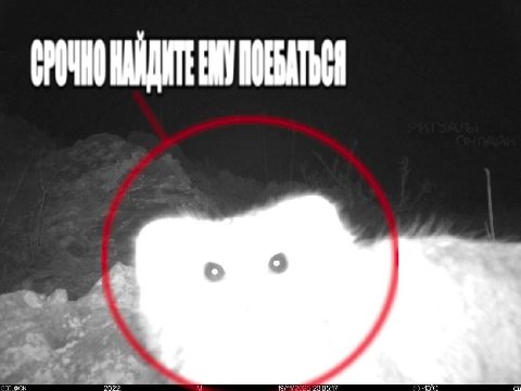 3 FLOCK 2022. 49/11/2025 23:05:17 O-B°C
