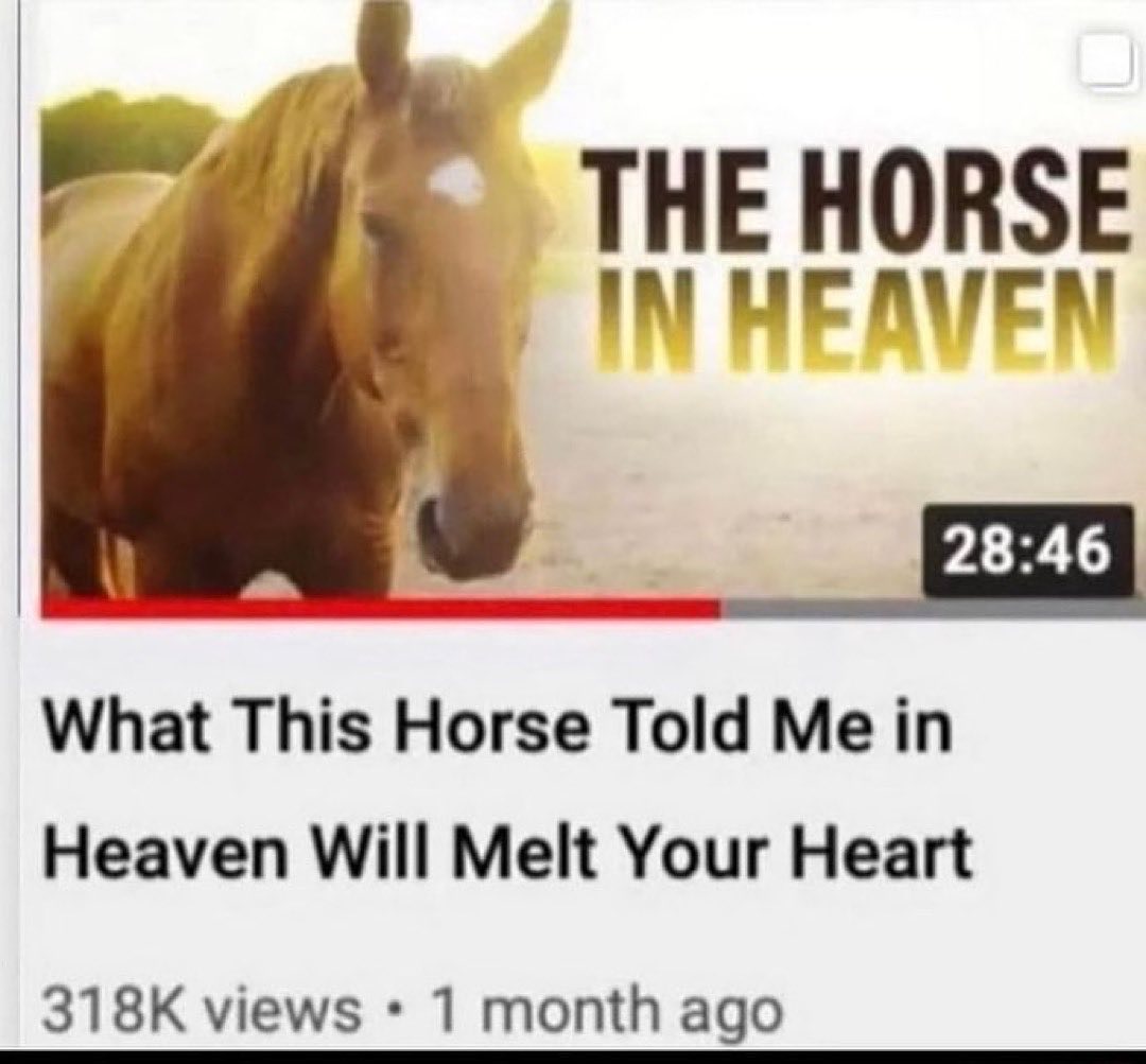 ТНЕНОВ$Е 28:46 What This Horse Told Me Heaven Will Melt Your Heart views 1 month ago
