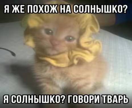 Я ЖЕ ПОХОЖ НА СОЛНЫШКО? Я СОЛНЫШКО? ГОВОРИ ТВАРЬ
