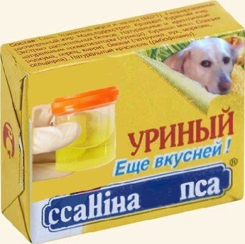 wit are И не кус Ewe пса на