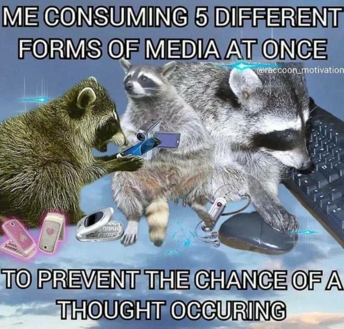 ME CONSUMING 5 DIFFERENT FORMS OF MEDIA AT ONCE А у we TO PREVENT THE СНАМСЕ