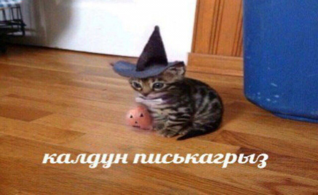калдун писькагрез