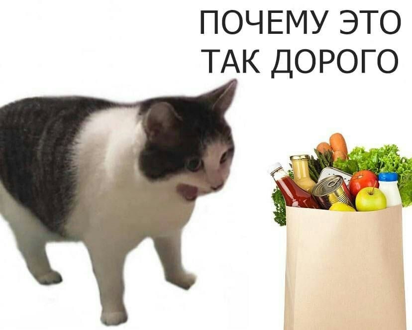 ПОЧЕМУ ЭТО ТАК ДОРОГО