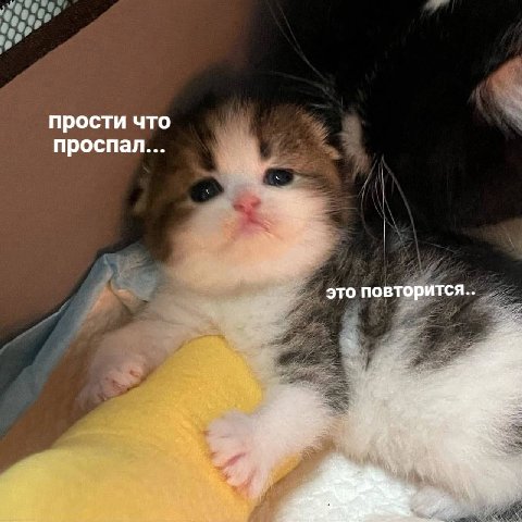 прости что проспал... это