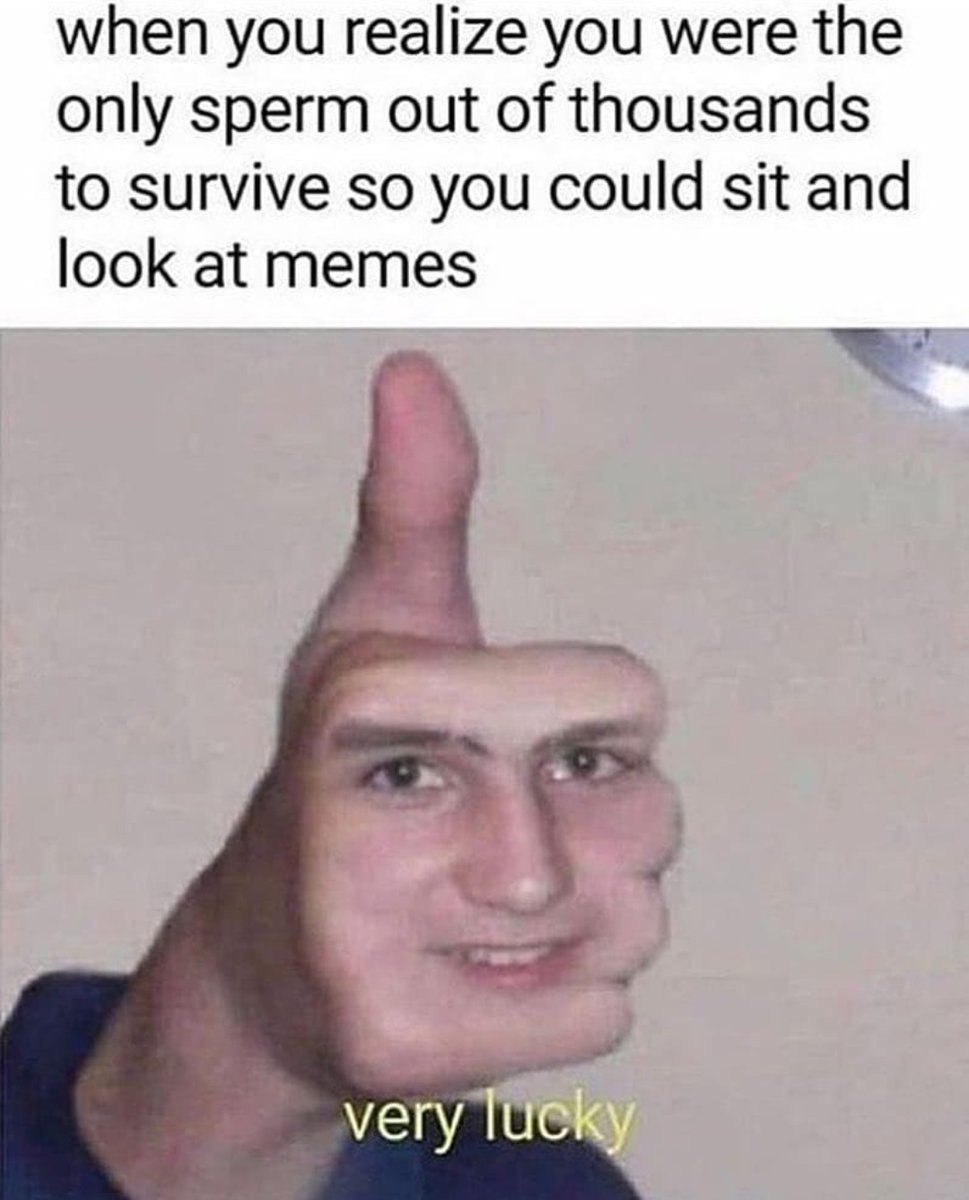 when you realize you were the only sperm out of thousands to survive so you could sit and look at memes very lucky