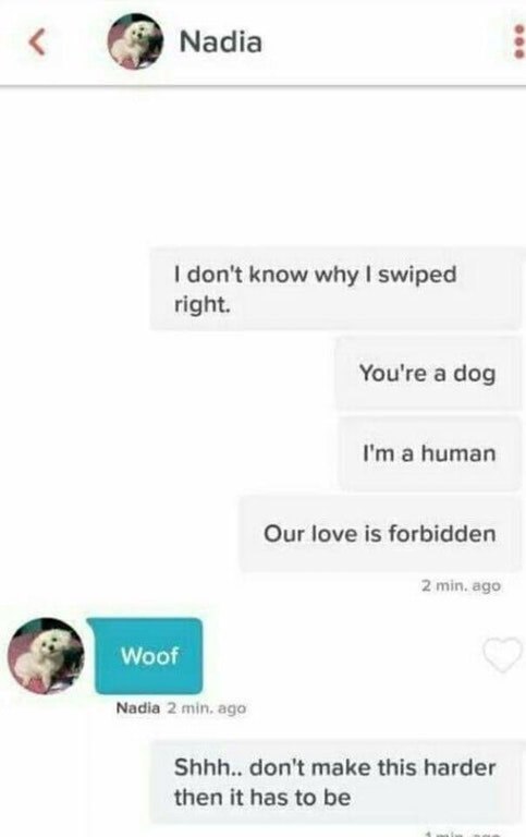 9 Nadia don't know why swiped right. You're a dog a human Our love is forbidden 2 min, ago Nadia 2 min. ago Shhh.. don't make this harder then it has to be