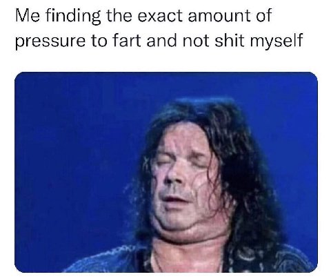 Me finding the exact amount of pressure to fart and not shit myself