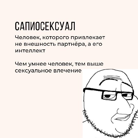 САПИОСЕКСУАЛ Человек, которого привлекает не внешность партнёра, аего интеллект Чем умнее человек, тем выше сексуальное влечение $29
