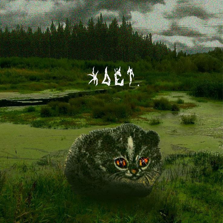 у 2% у a