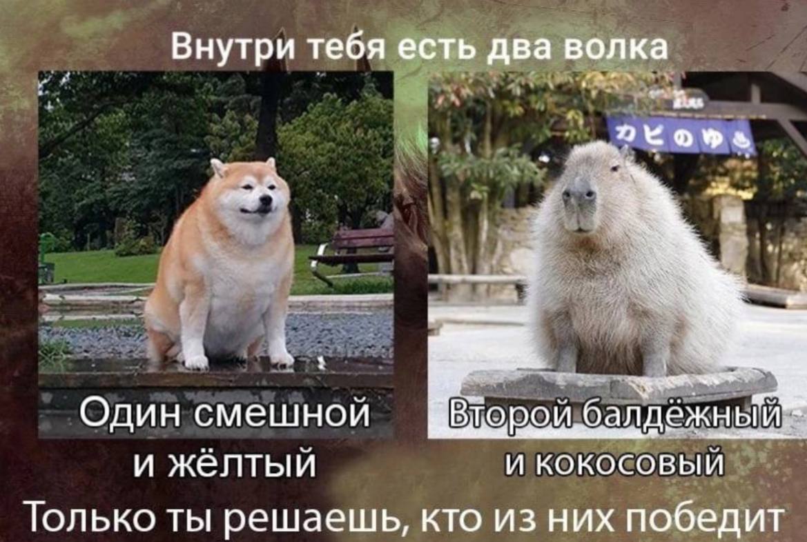 Внутри тебя есть два волка Один смешной Второй и жёлтый И КОКОСОВЫЙ Только ты решаешь, кто из них победит