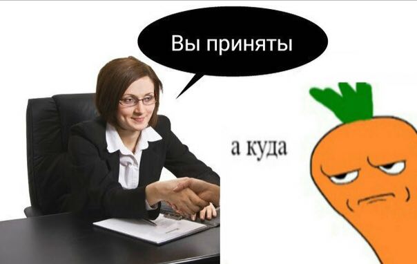 Вы приняты а куда