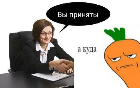 Вы приняты а куда