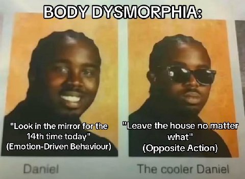 "Look in the mirror еа\е the house noimatter time today" what" (Emotion-Driven Behaviour) (Opposite Action) Daniel The cooler Daniel