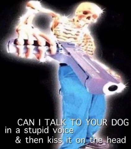 aff САМ TALK ТО YOUR DOG in a stupid voice then kiss, it on the, head