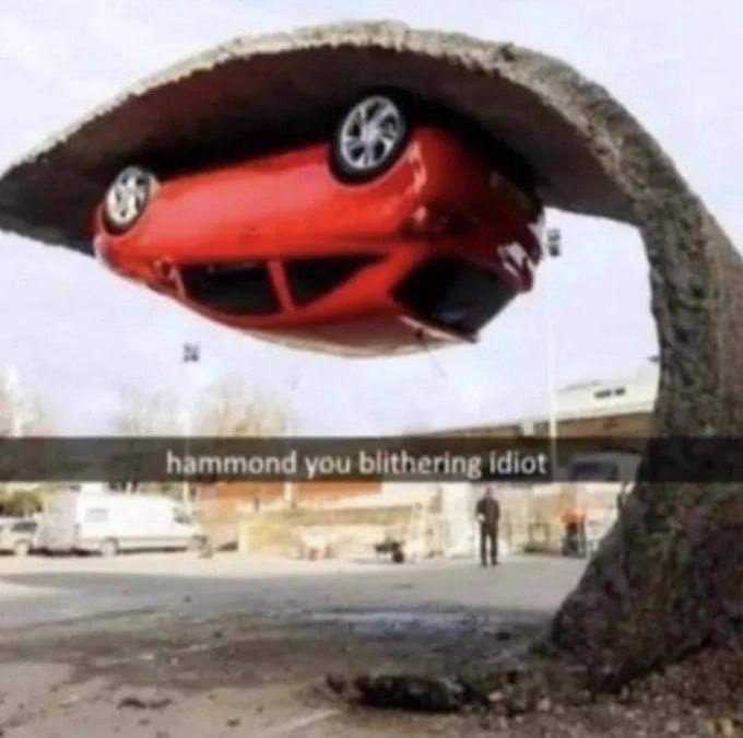 hammond you idiot