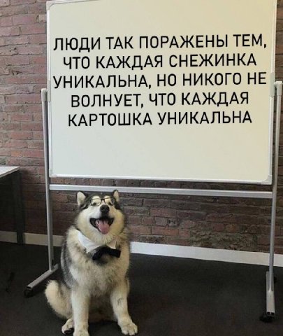 ЛЮДИ ТАК ПОРАЖЕНЫ ТЕМ, ЧТО КАЖДАЯ СНЕЖИНКА УНИКАЛЬНА, НО НИКОГО НЕ ВОЛНУЕТ, ЧТО КАЖДАЯ КАРТОШКА УНИКАЛЬНА
