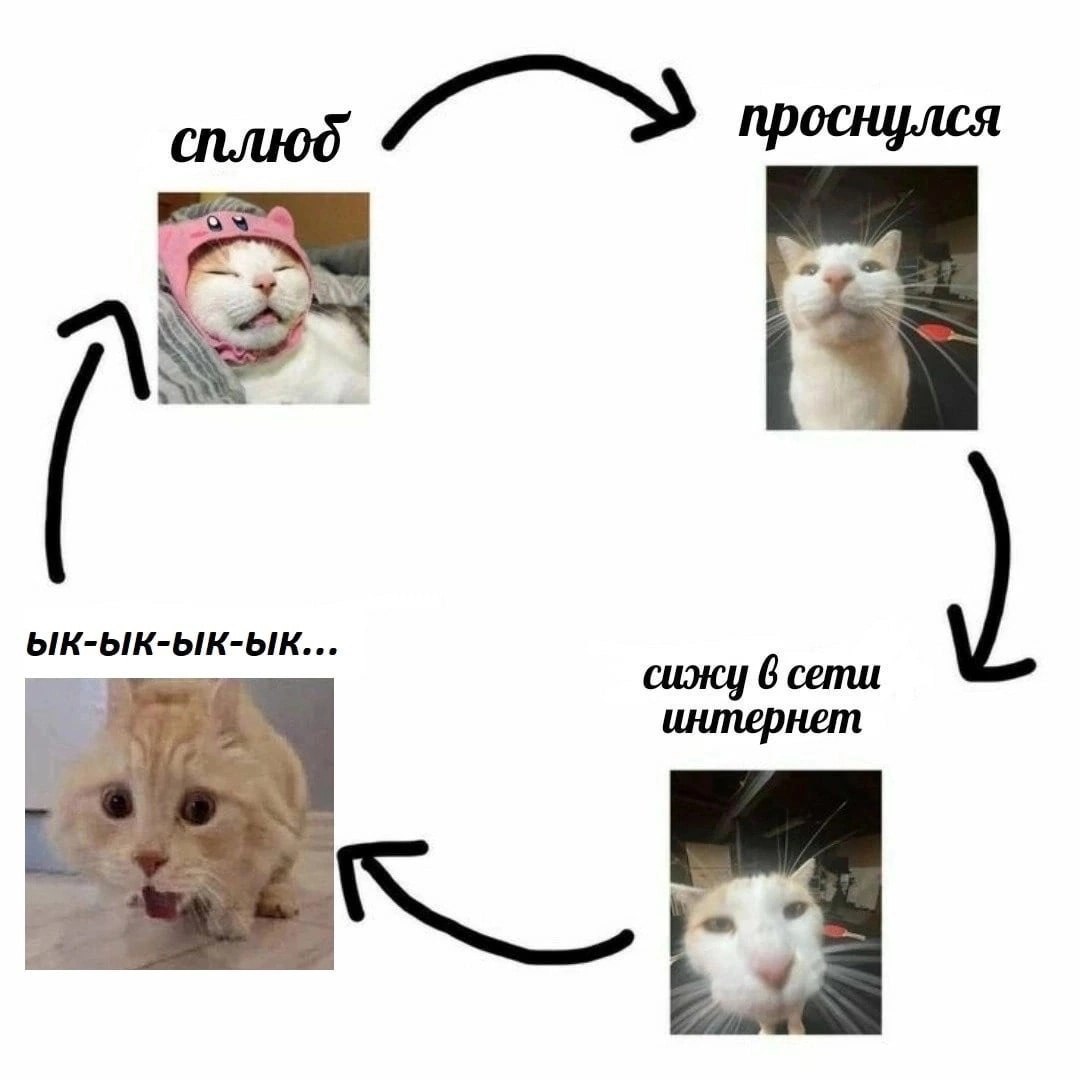 сплюб проснулся сижу 6 сети