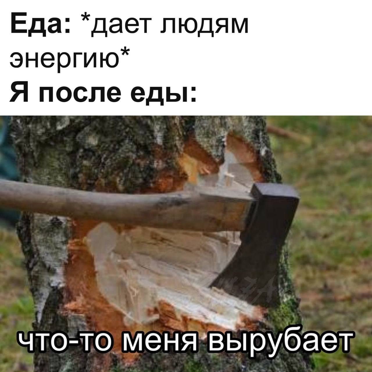 Еда: *дает людям энергию* Я после еды: