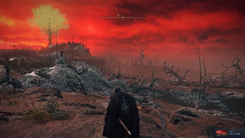Every location so good
I want photo mode
