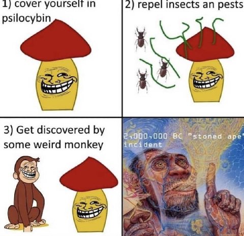 1) cover 2) repel insects an pests psilocybin 3) Get discovered 27000,000 ‘Be ape some weird monkey it be