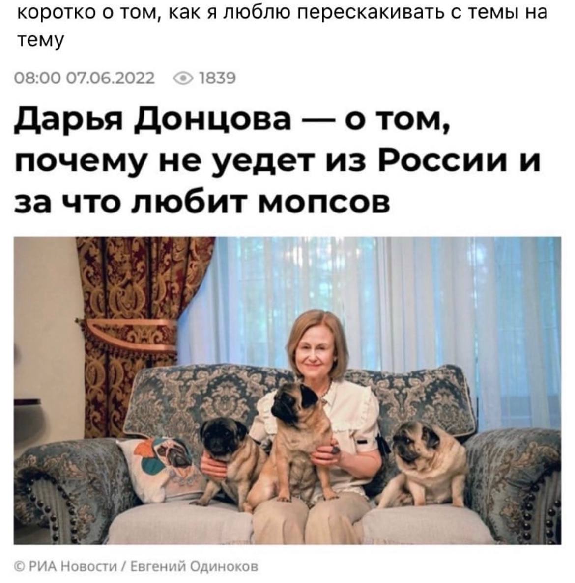 коротко о том, как я люблю перескакивать с темы на тему 08:00 07.06.2022 1839 Дарья Донцова о том, почему не уедет из России и за что любит мопсов on Ж-