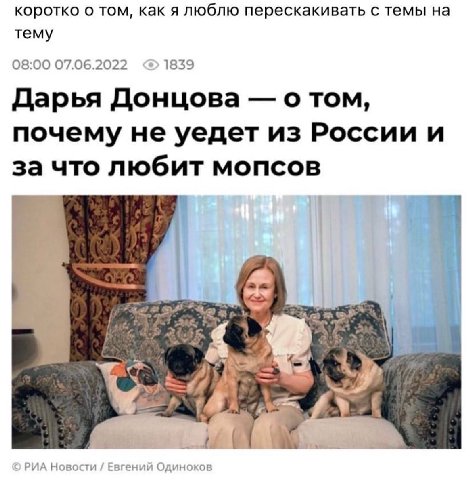коротко о том, как я люблю перескакивать с темы на тему 08:00 07.06.2022 1839 Дарья Донцова о том, почему не уедет из России и за что любит мопсов on Ж-
