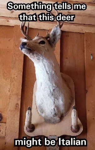 Something tells me that this deer might be Italian