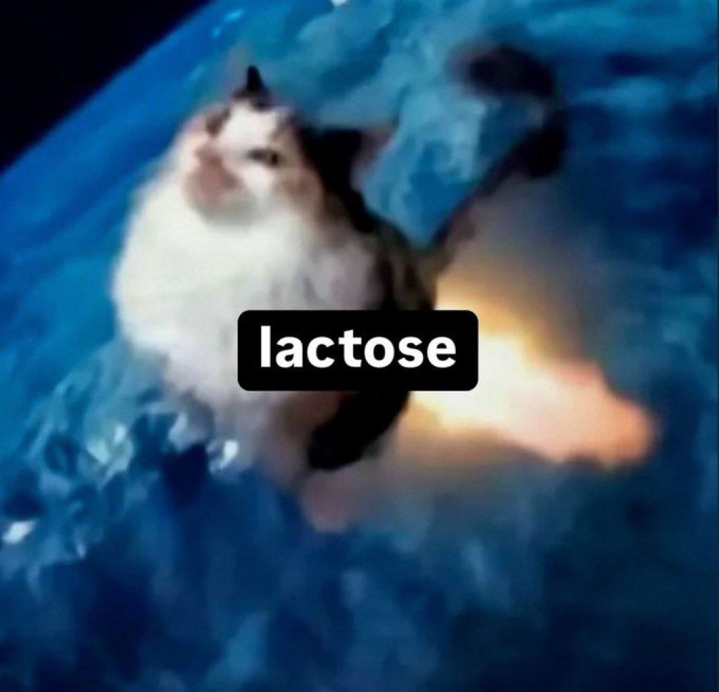 lactose