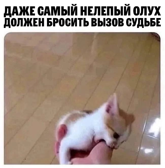 ДАЖЕСАМЫЙ НЕЛЕПЫЙ ONYX ДОЛЖЕН БРОСИТЬ ВЫЗОВ СУДЬБЕ