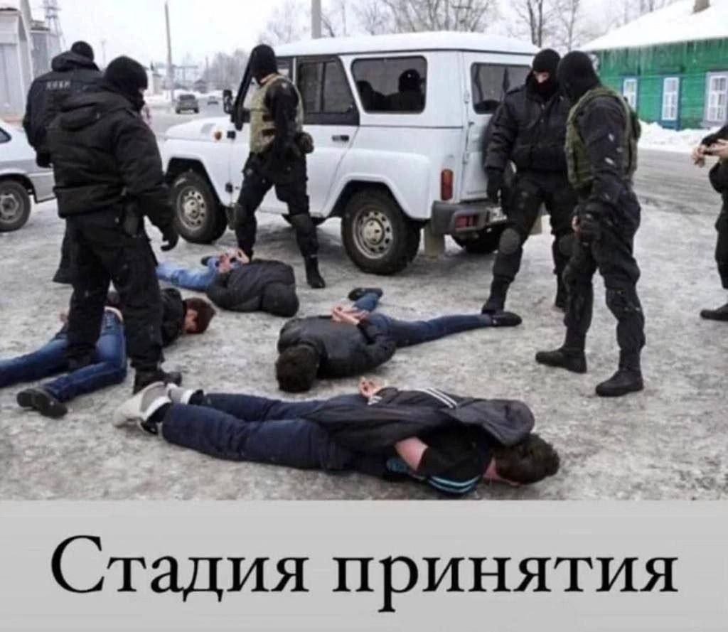 Стадия принятия