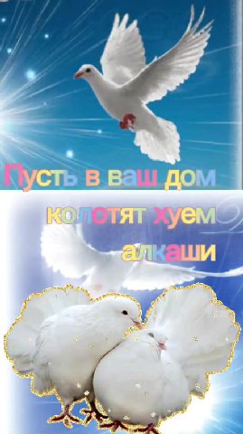 мем