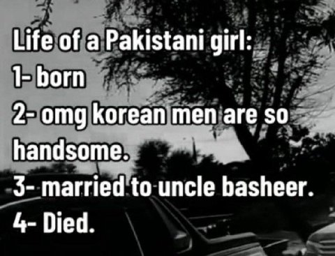 Life of a Pakistani girl: 1- Богп 2- omg Когеап теп are so handsome. 3- married to uncle basheer. 4- Died.