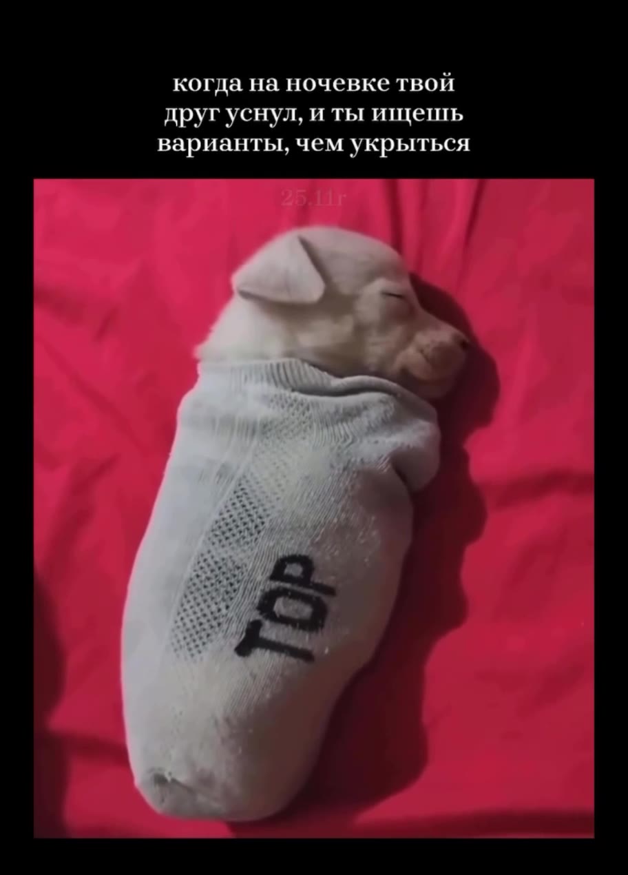 когда на ночевке твой друг уснул, и ты ищешь варианты, чем укрыться