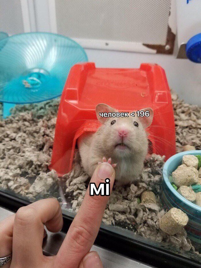 196