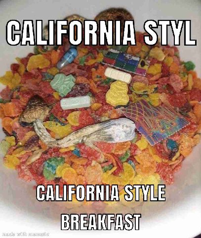 CALIFORNIA STYL CALIFORNIA.